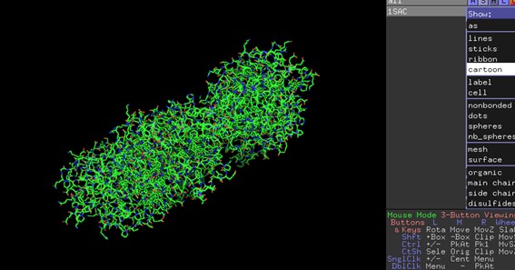 How To Zoom In PyMOL