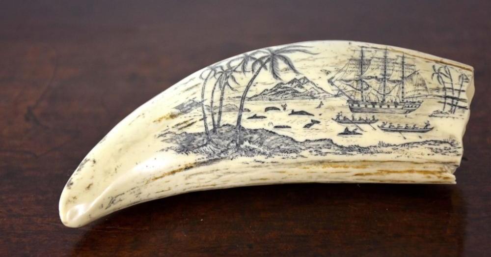 What Is A Scrimshaw